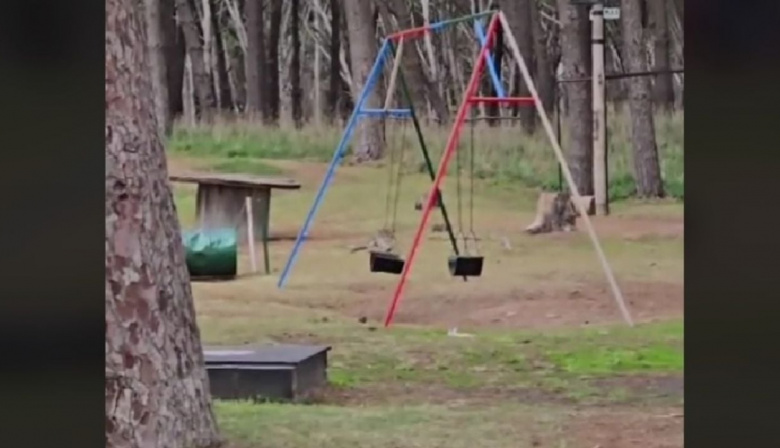 Video: Una hamaca se columpia sola en el Parque Miguel Lillo