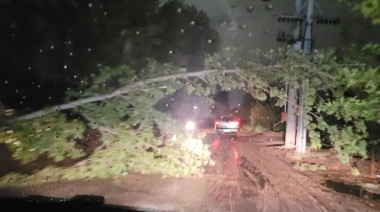 Temporal en Río Negro causó todo tipo de destrozos y un giganteco apagón en varias localidades