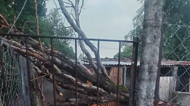 CAAN pide ayuda para reponer los refugios de animales afectador por el temporal