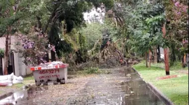 Fuerte temporal en Rosario dejó calles anegadas y árboles caídos por toda la ciudad