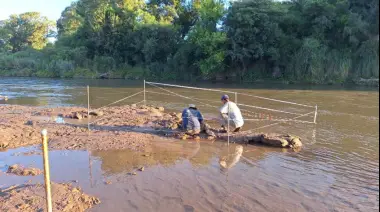 Caminaba por el río y encontró restos de un gliptodonte que vivió hace casi 12 mil años