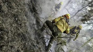 Colecta en Necochea para ayudar a víctimas de los incendios en la Patagonia