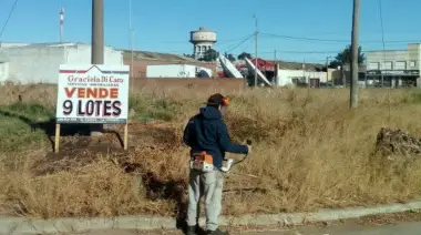 Evalúan sanciones a dueños de terrenos baldíos descuidados e inspecciones para columnas de alumbrado público